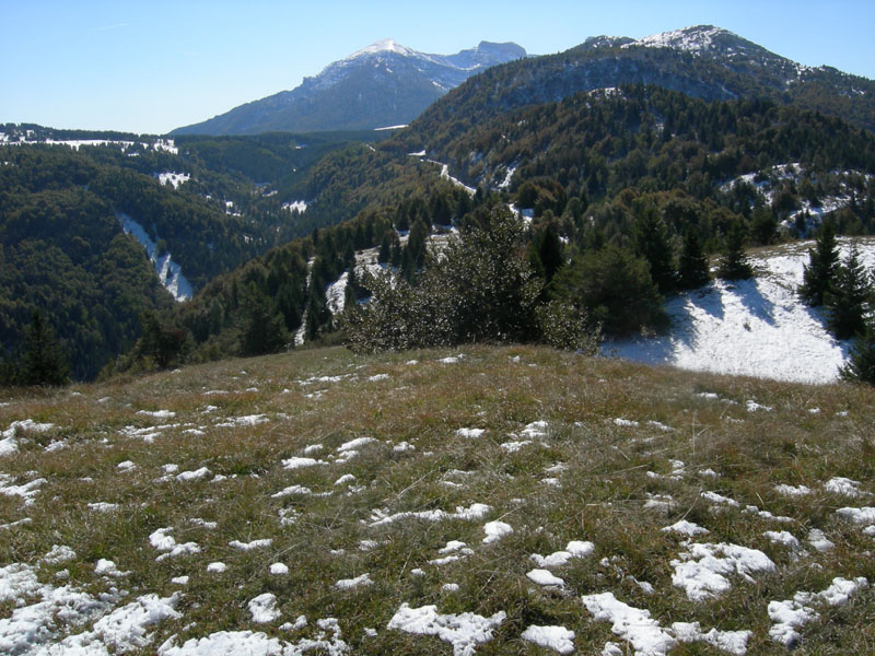 neve....sopra i 1350 m.