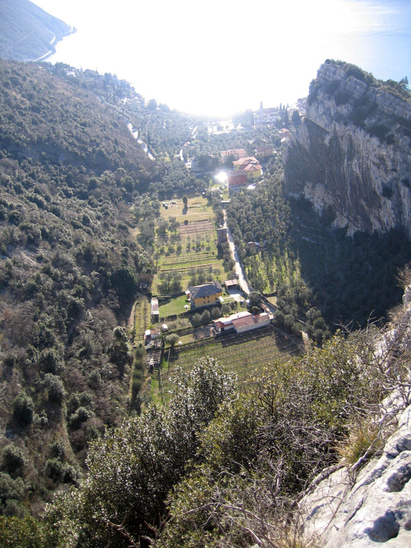 Castelli,Torri e Palazzi.....del Trentino