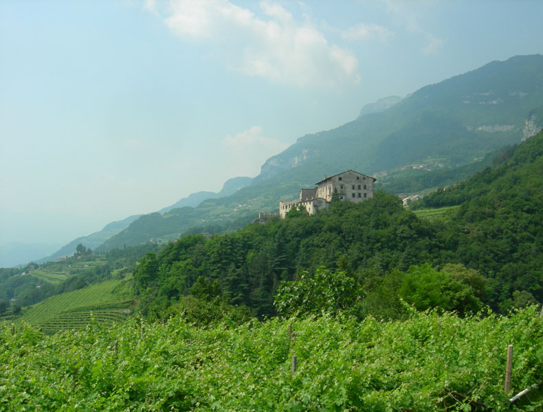 Castelli,Torri e Palazzi.....del Trentino