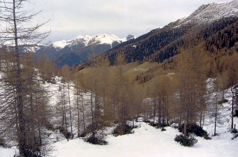 21 novembre 2008....prima ciaspolata