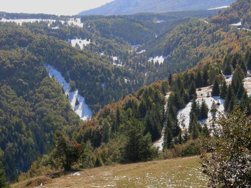 neve....sopra i 1350 m.