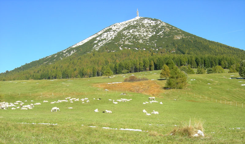 neve....sopra i 1350 m.