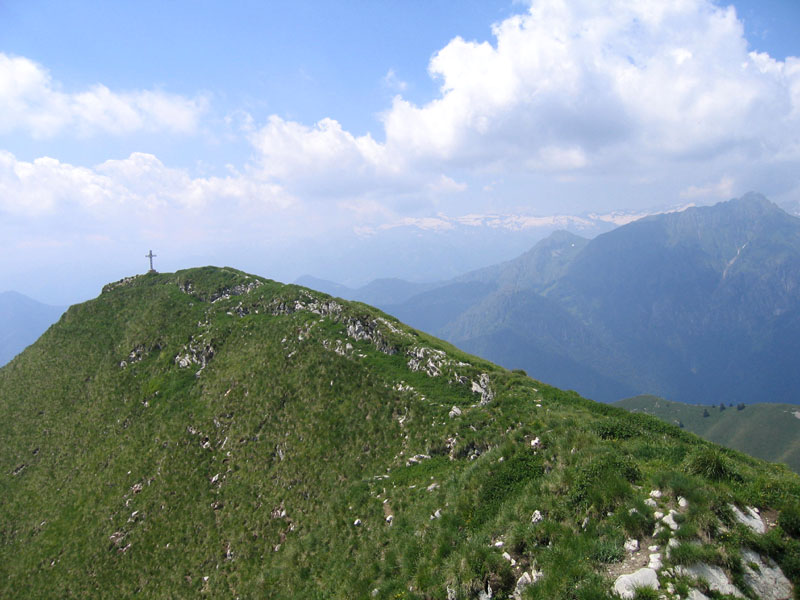 Trypocopris vernalis vernalis....dal Trentino