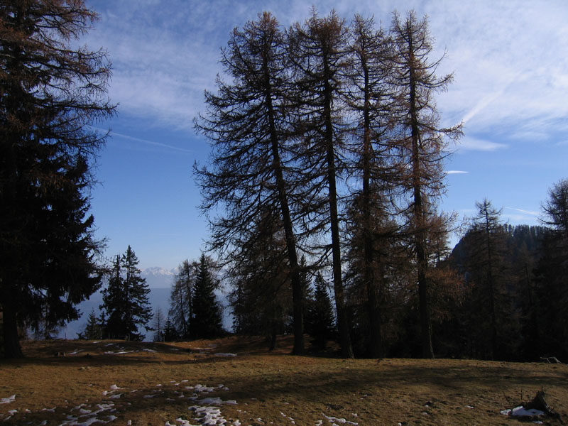 escursione.......al Monte Ron