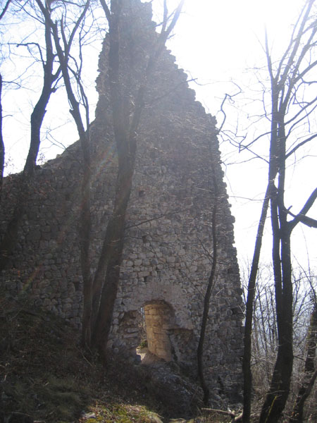 Castelli,Torri e Palazzi.....del Trentino