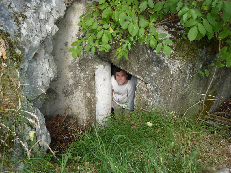 Castelli,Torri e Palazzi.....del Trentino