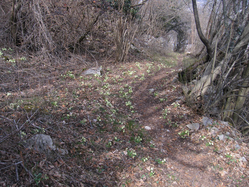Ravina.......Bocca del Lupo