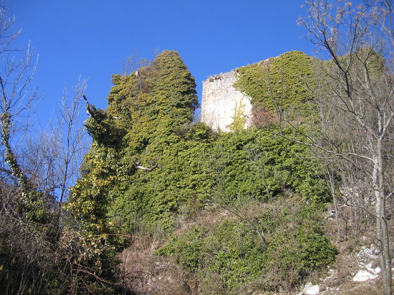 Castelli,Torri e Palazzi.....del Trentino