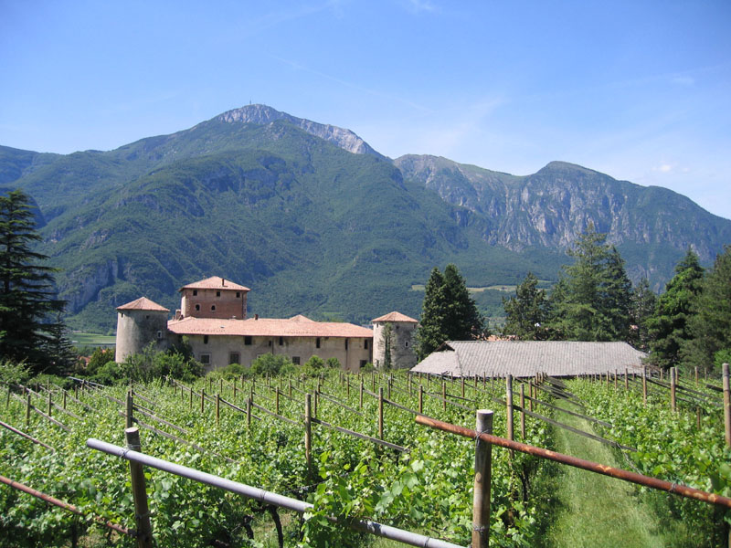 Castelli,Torri e Palazzi.....del Trentino