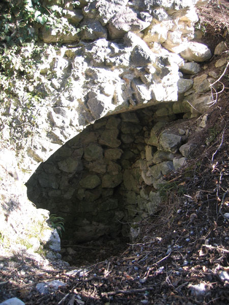 Castelli,Torri e Palazzi.....del Trentino