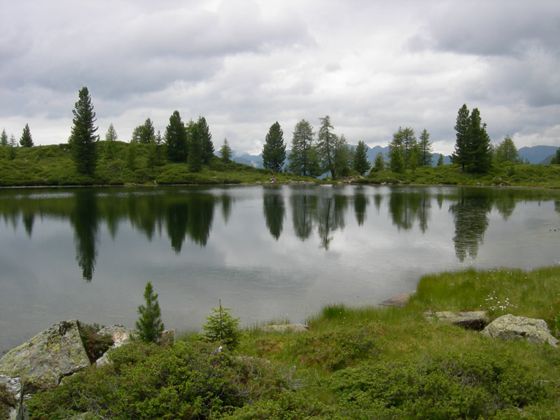 nei pressi di un lago...(cfr. O. sphagnicola/O. barbularum)