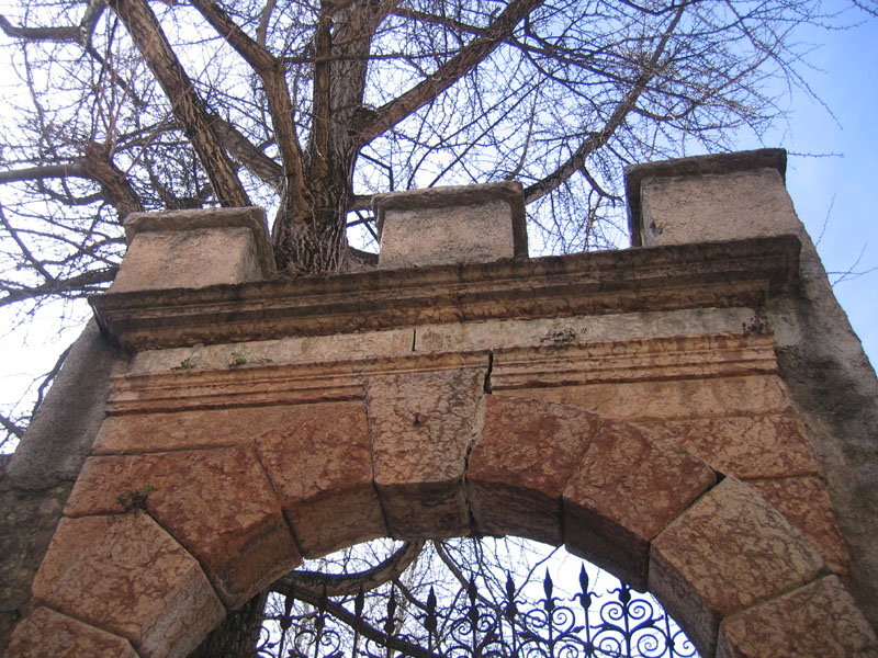 Castelli,Torri e Palazzi.....del Trentino