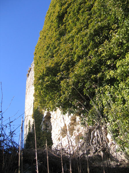 Castelli,Torri e Palazzi.....del Trentino