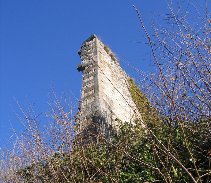 Castelli,Torri e Palazzi.....del Trentino