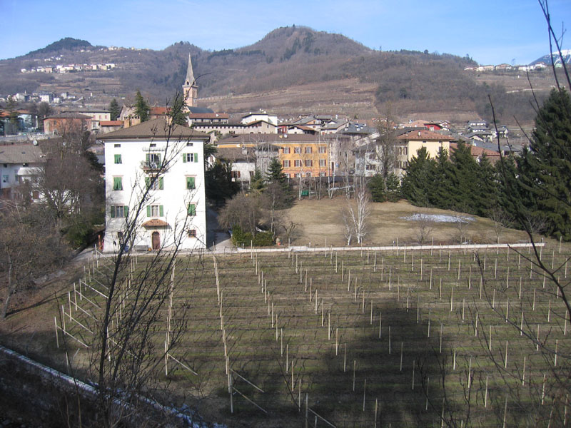 Castelli,Torri e Palazzi.....del Trentino