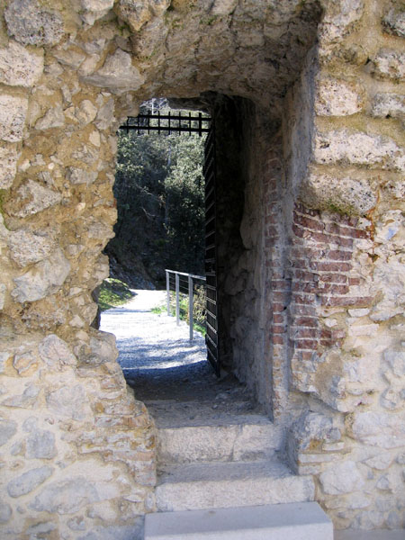 Castelli,Torri e Palazzi.....del Trentino