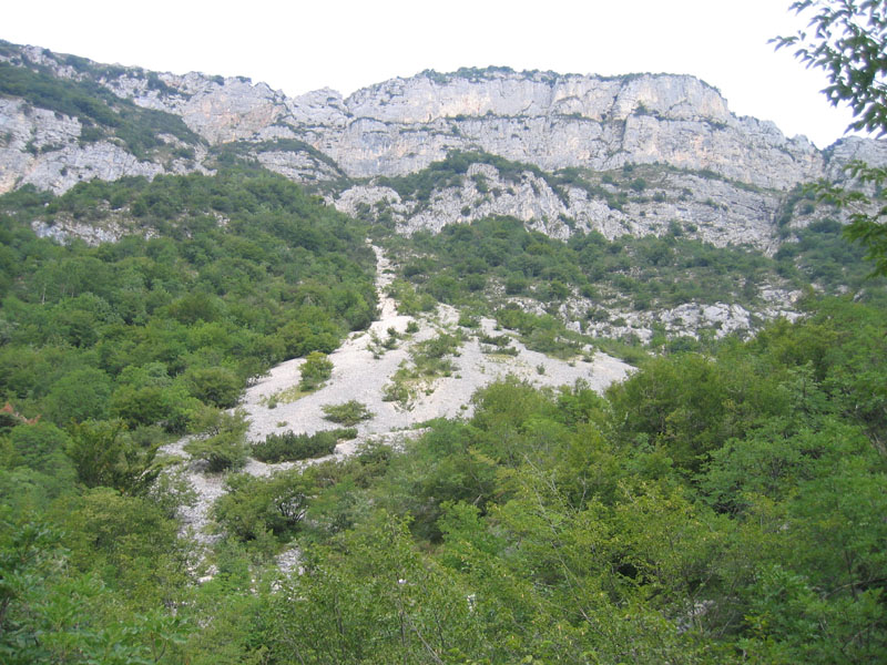 bruco: Macrothylacia rubi - Lasiocampidae......dal Trentino