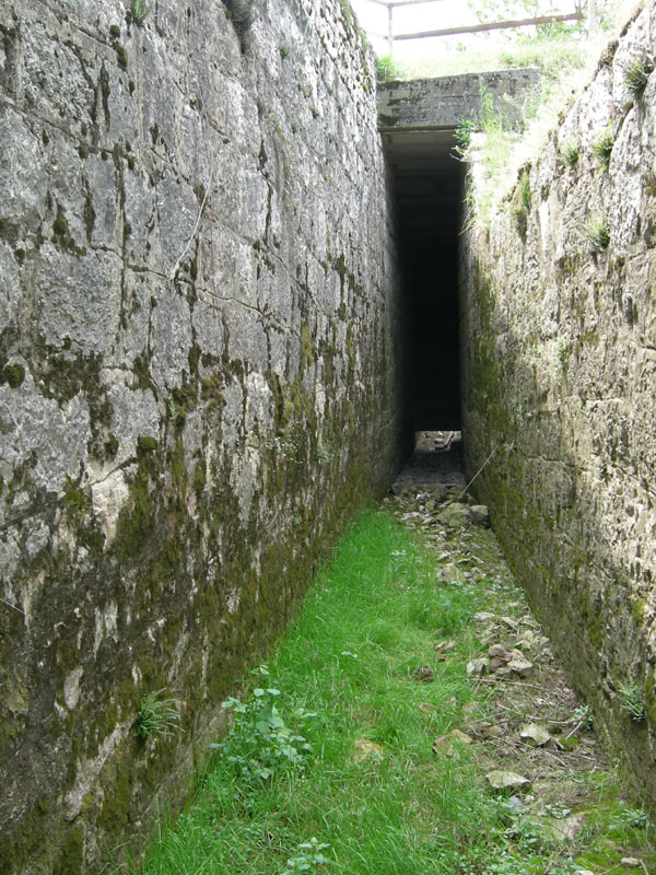 Boettgerilla  pallens  Simroth, 1912- Trento sud