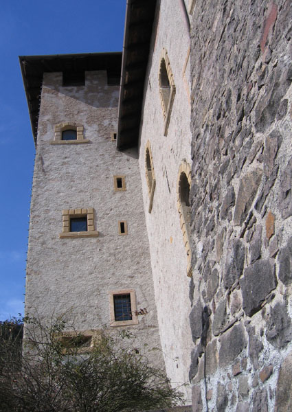 Castelli,Torri e Palazzi.....del Trentino