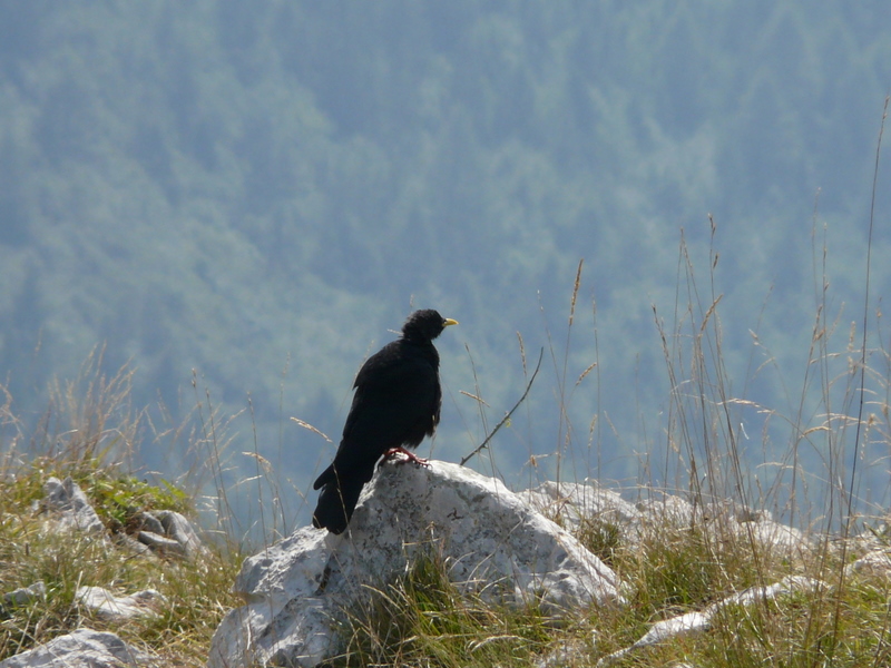 Monte Baldo