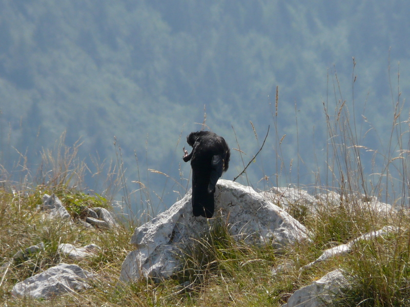 Monte Baldo