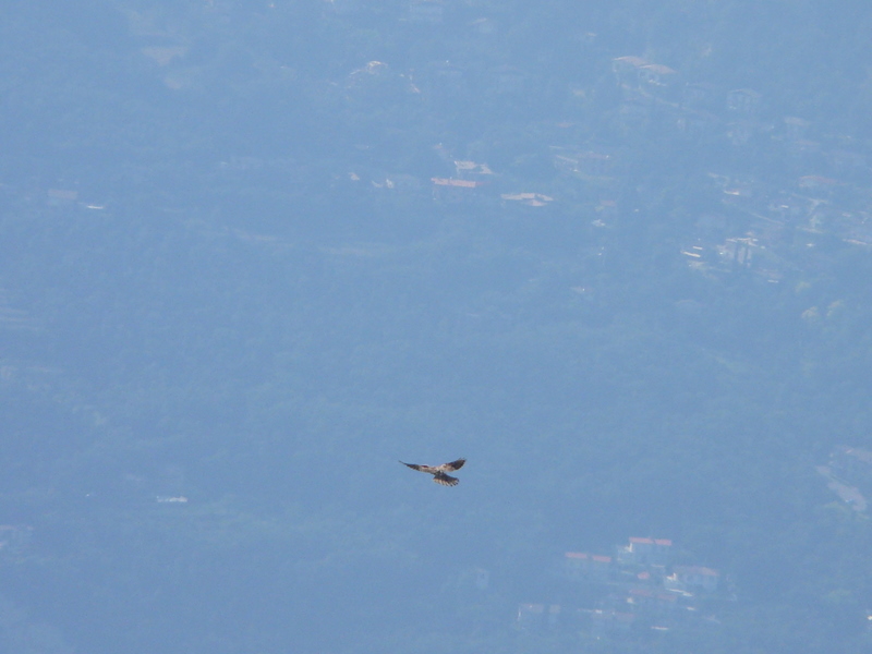 Monte Baldo