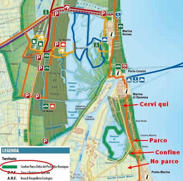 PASSIONE PER IL CERVO