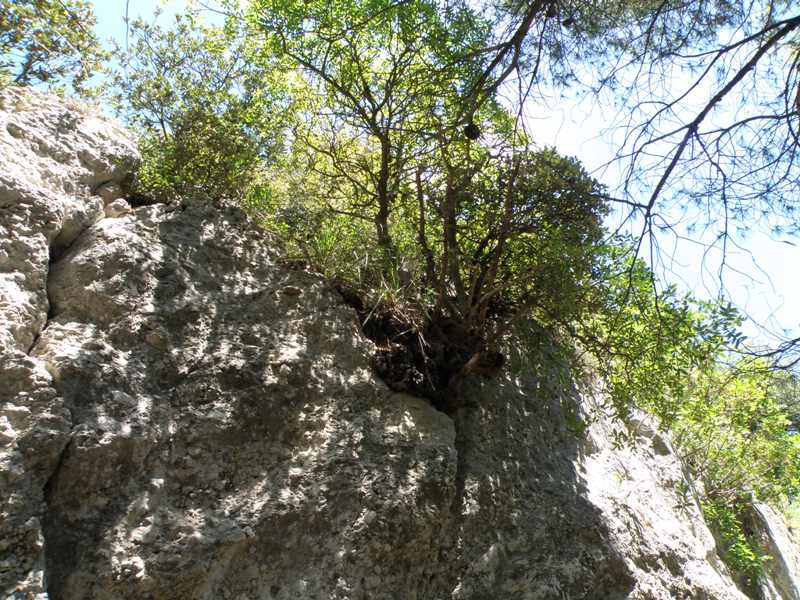 monte Conero- la grotta di Mortarolo