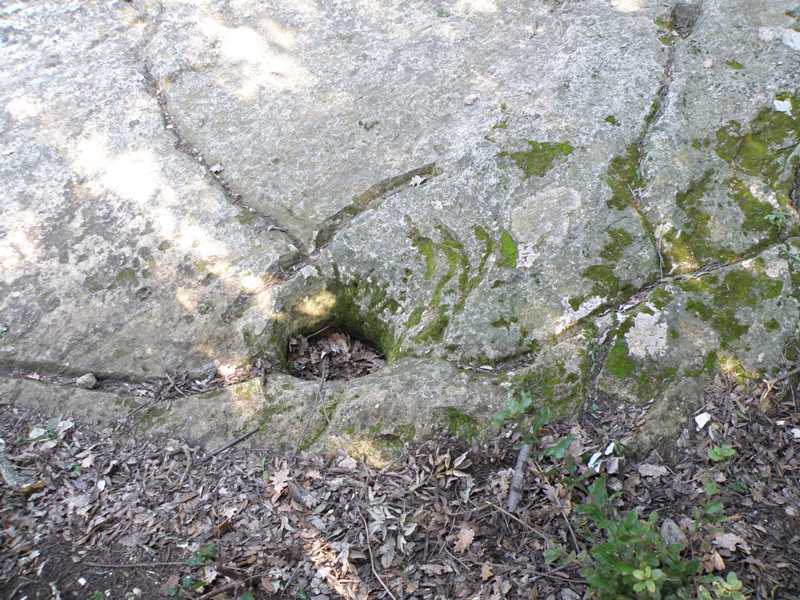 Le incisioni rupestri del Conero