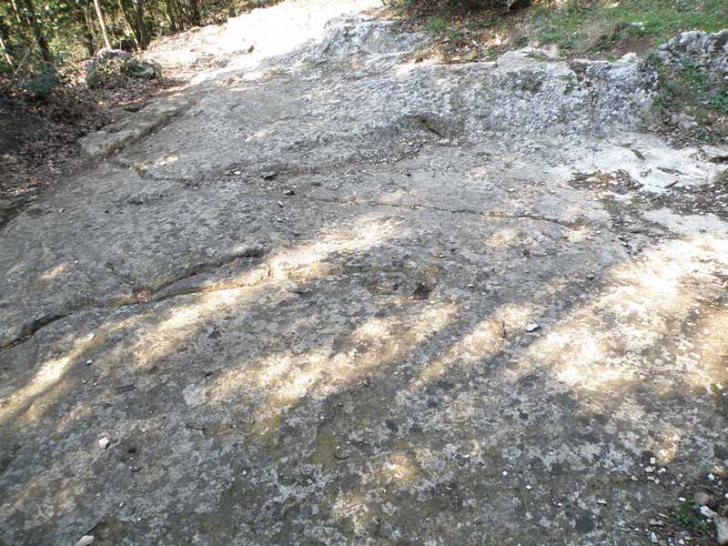 Le incisioni rupestri del Conero