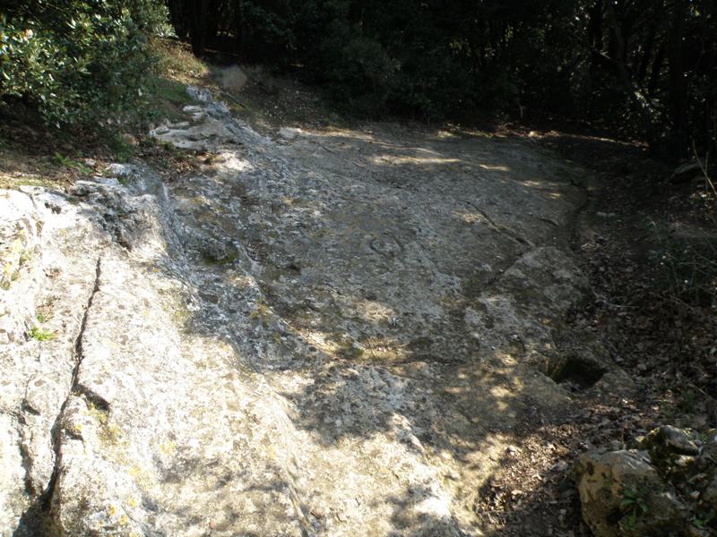 Le incisioni rupestri del Conero