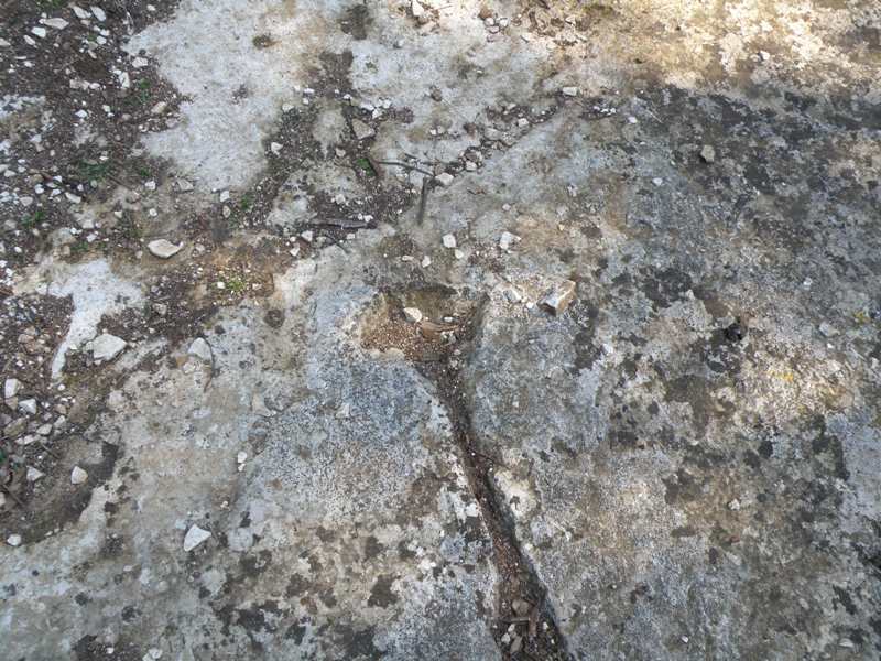 Le incisioni rupestri del Conero