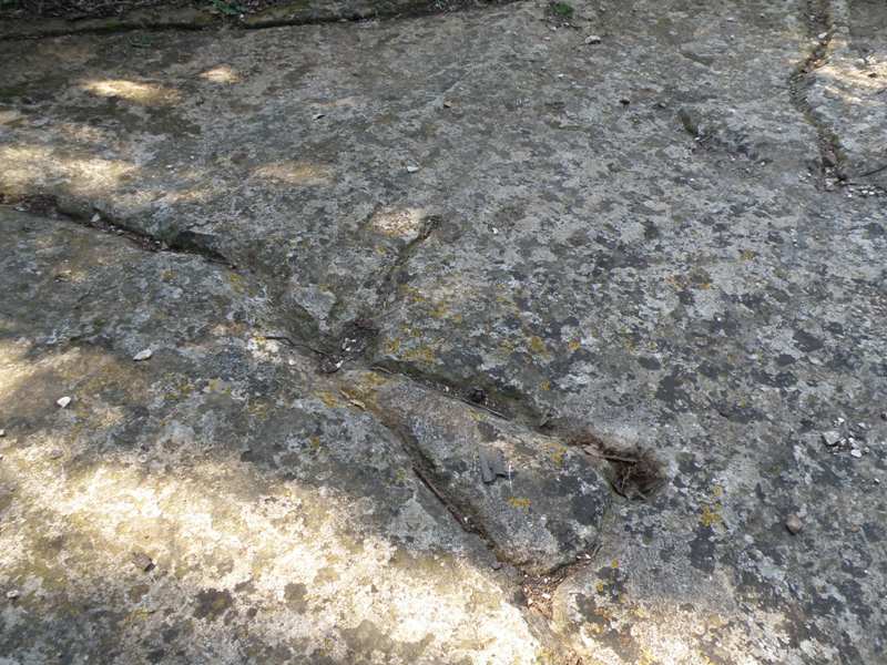 Le incisioni rupestri del Conero