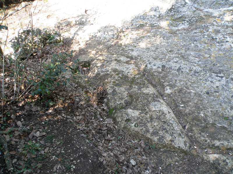 Le incisioni rupestri del Conero
