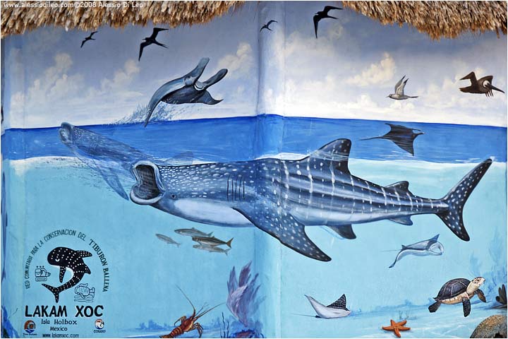 Isla Holbox