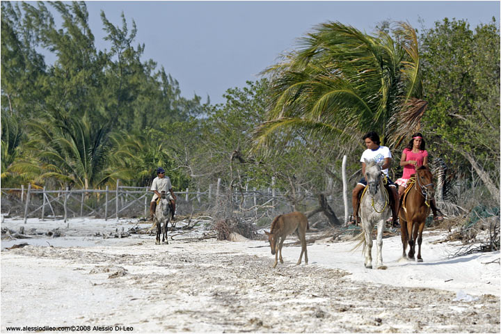 Isla Holbox