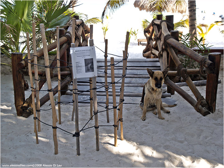 Isla Holbox