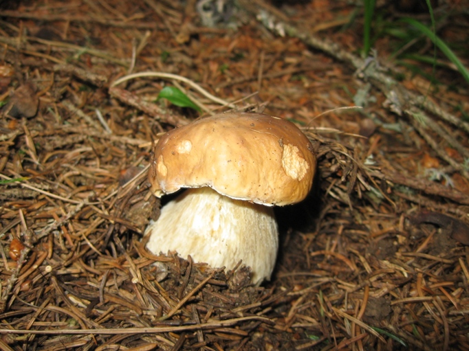 una passeggiata in Val d''Ega