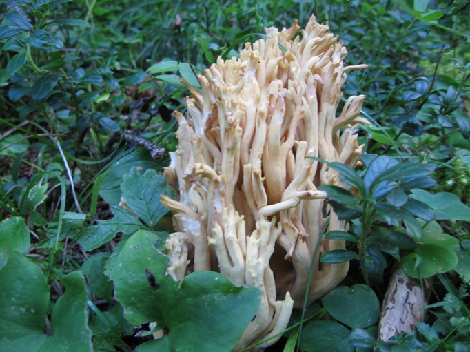 una passeggiata in Val d''Ega