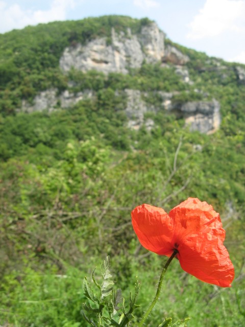 1 maggio a Lumignano (VI)