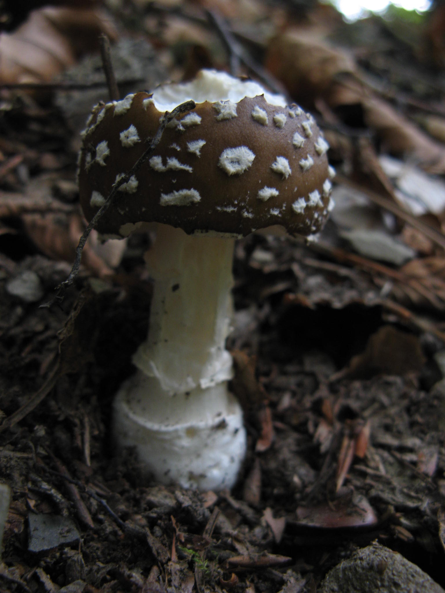 appennino pistoiese 2