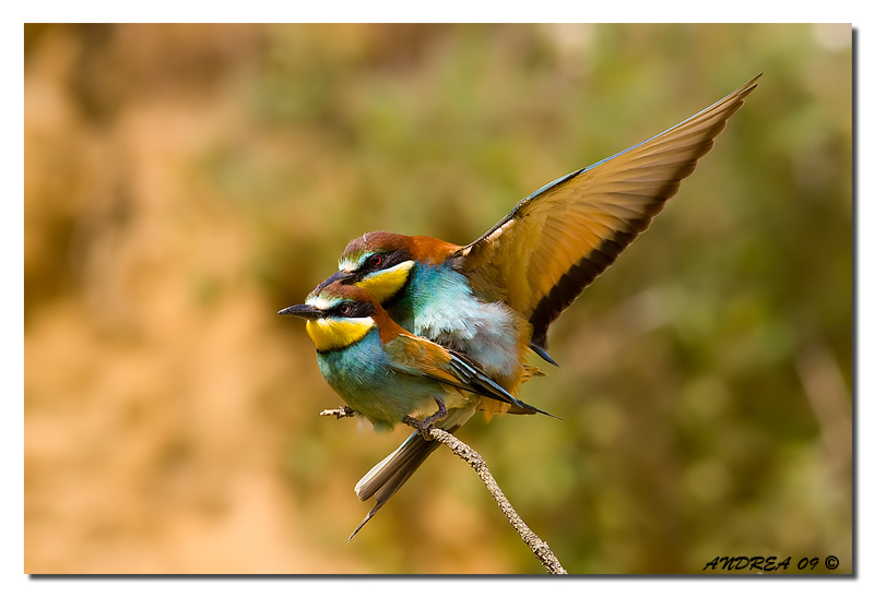 equilibrio precario