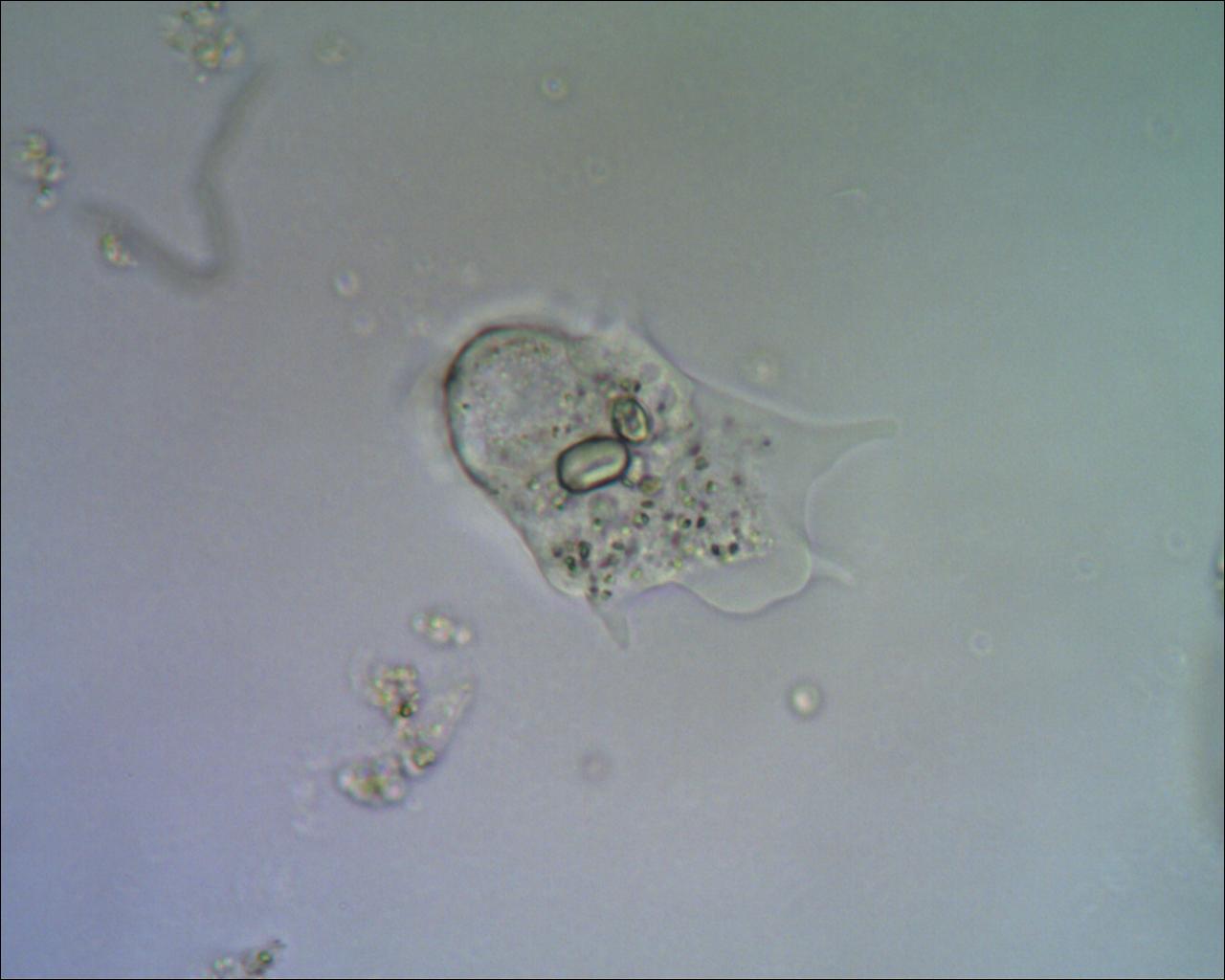 Incontri sbagliati......