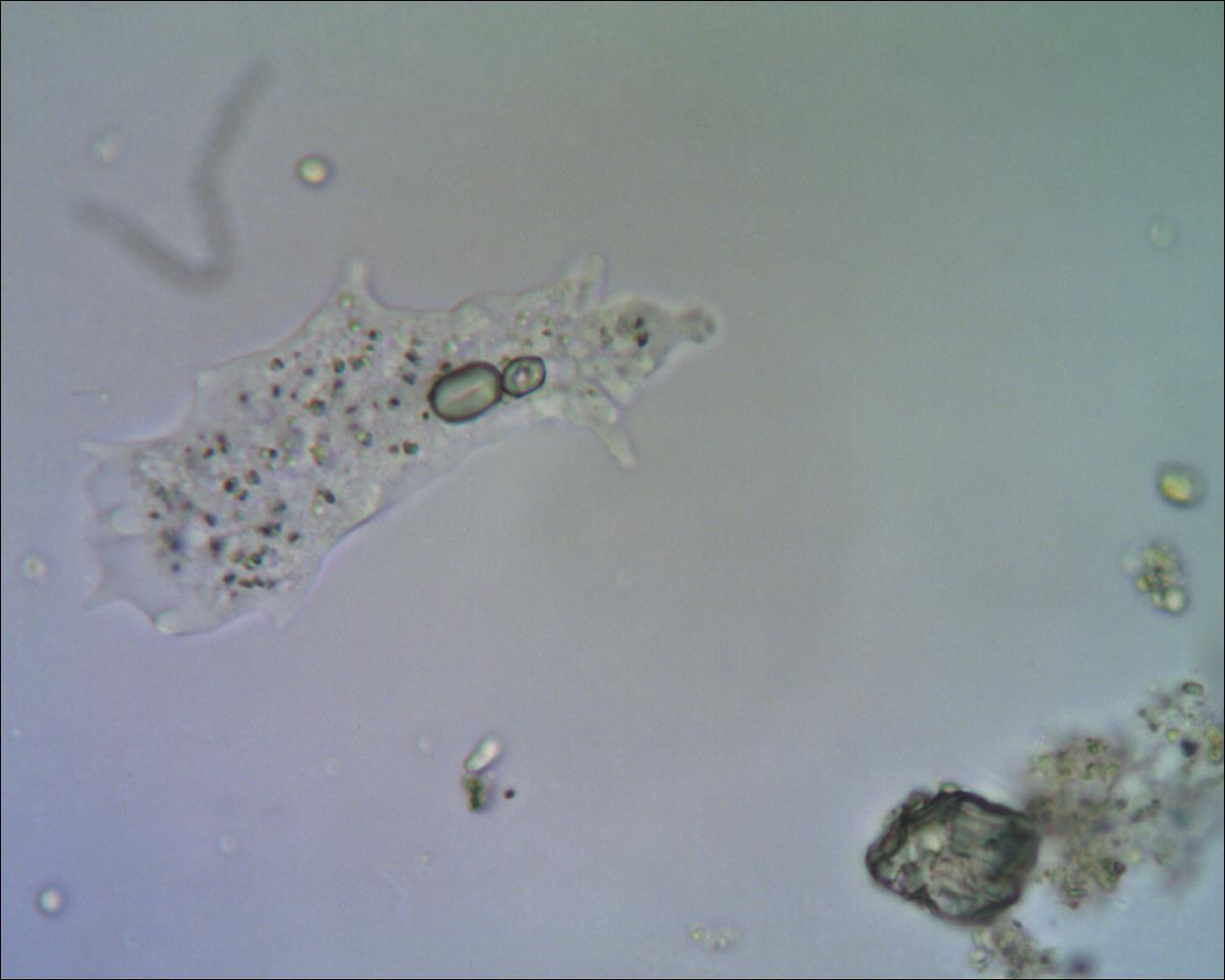 Incontri sbagliati......