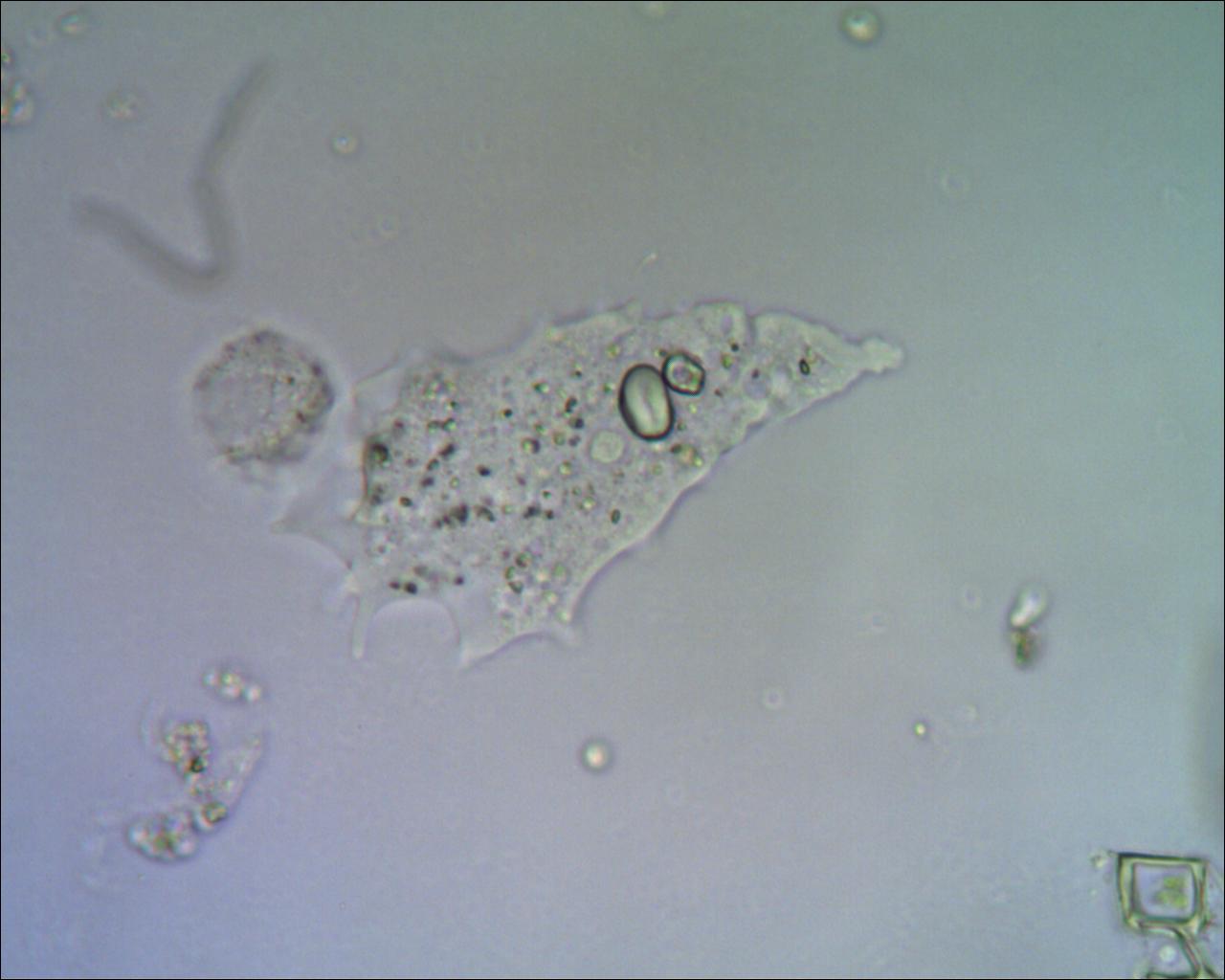 Incontri sbagliati......