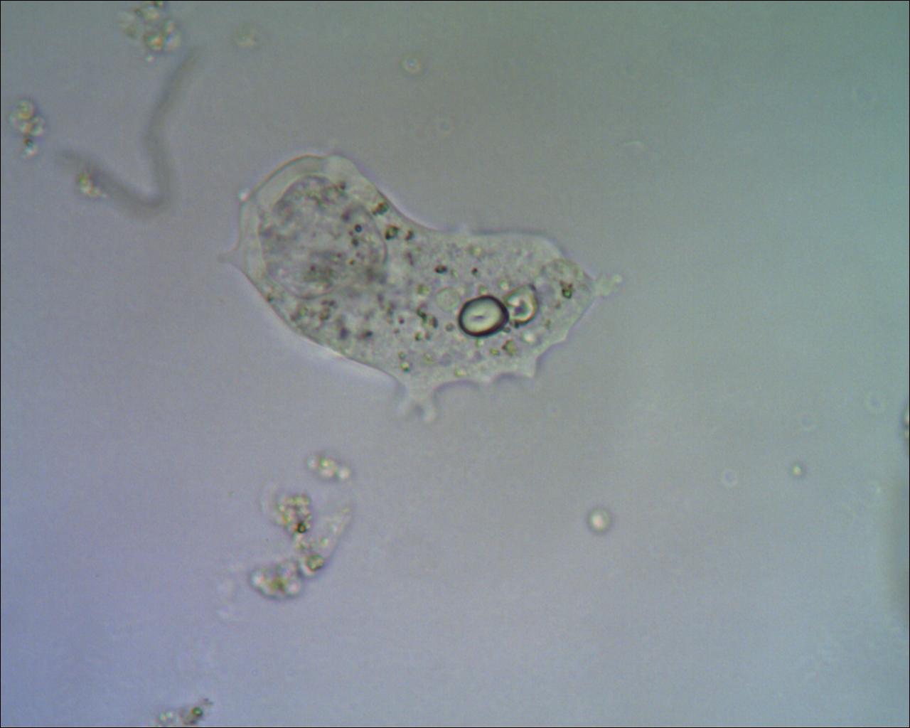 Incontri sbagliati......