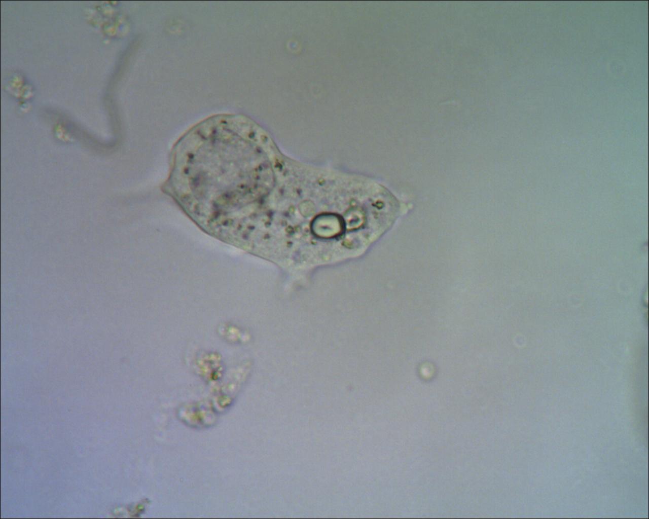 Incontri sbagliati......