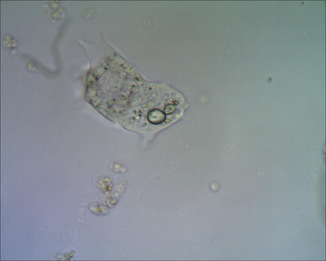 Incontri sbagliati......