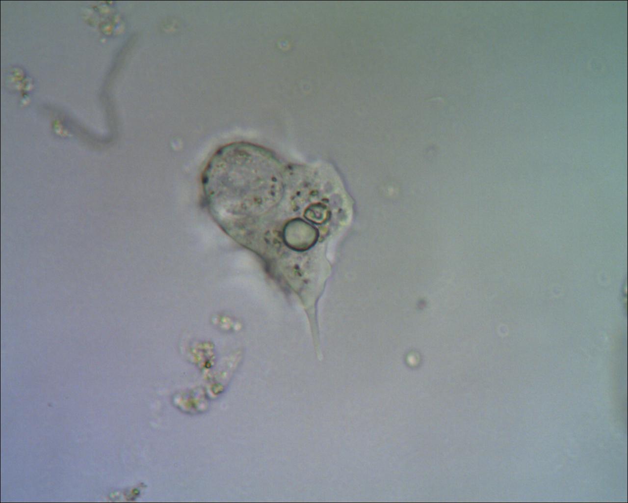 Incontri sbagliati......