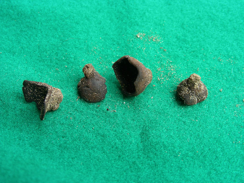 Piccole coppette nere fotog.il 15.01.10.